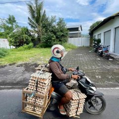 Bali - mężczyzna przewożący jajka na motocyklu