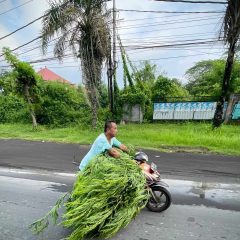 Bali - mężczyzna na motocyklu